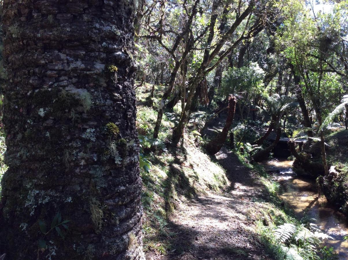 Chales Do Ferradura Campos do Jordão المظهر الخارجي الصورة